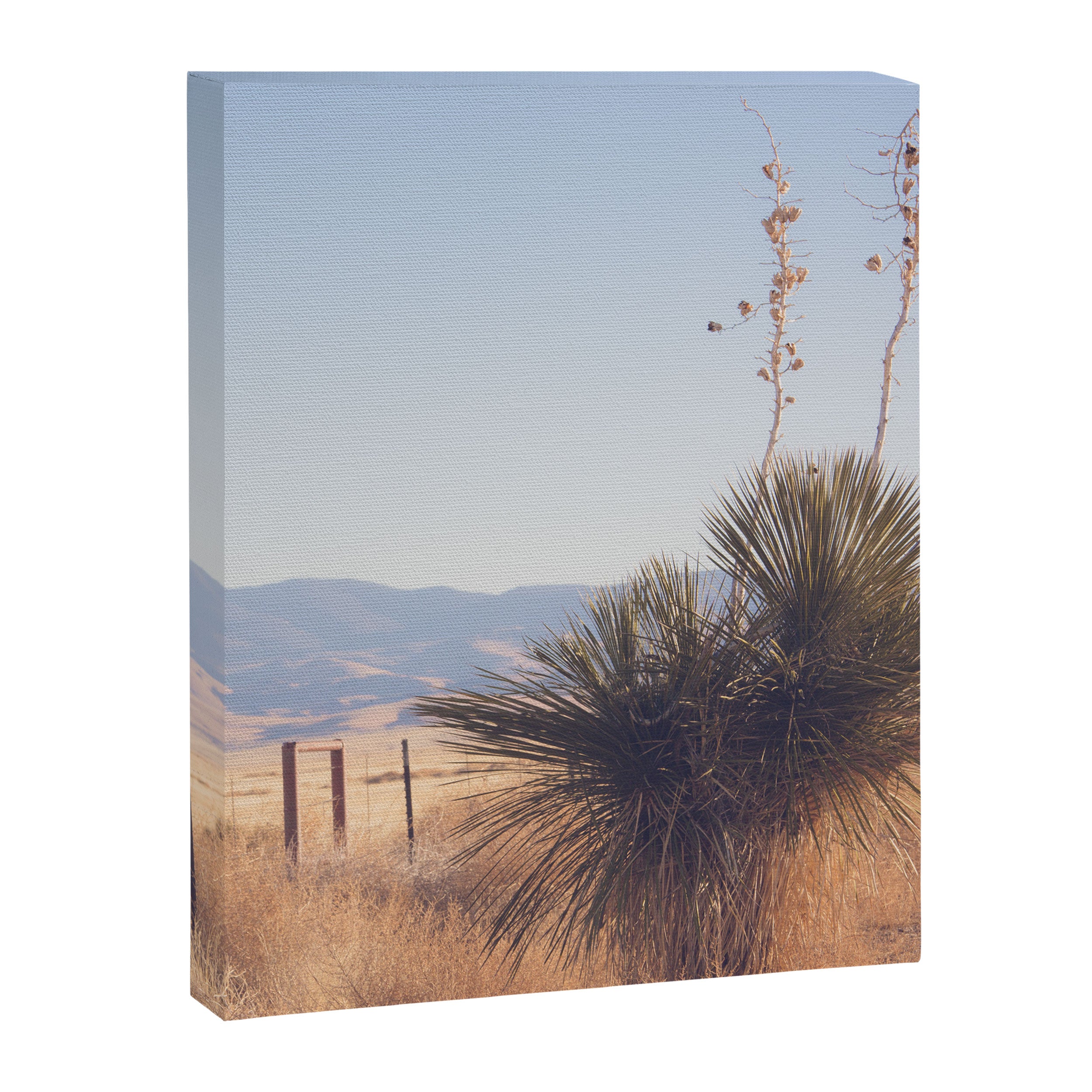 Marfa Morning Light Canvas Print Gallery Image 6