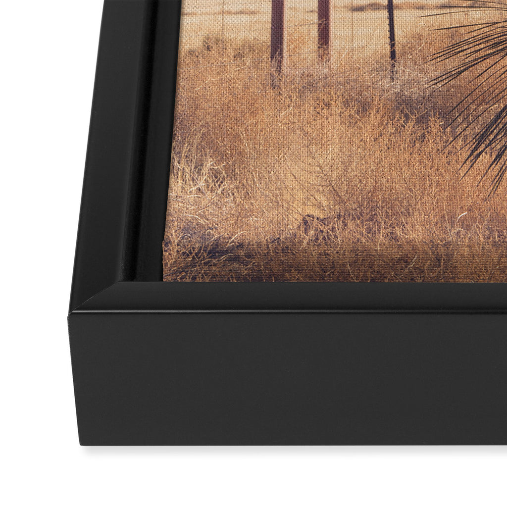 Marfa Morning Light Framed Canvas Print Gallery Image 3