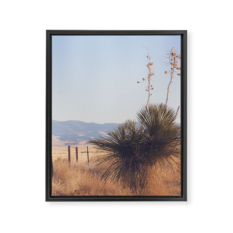 Marfa Morning Light Framed Canvas Print Gallery Image 6