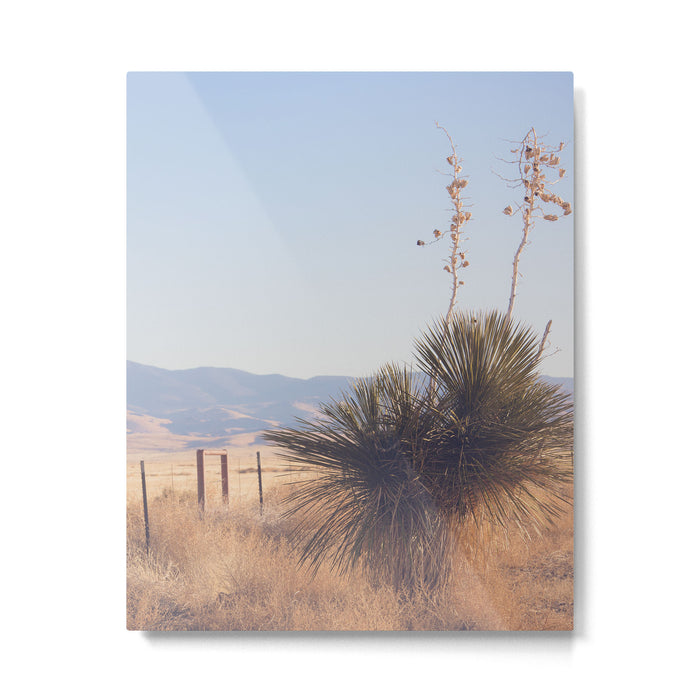 Marfa Morning Light Metal Print Gallery Image 1