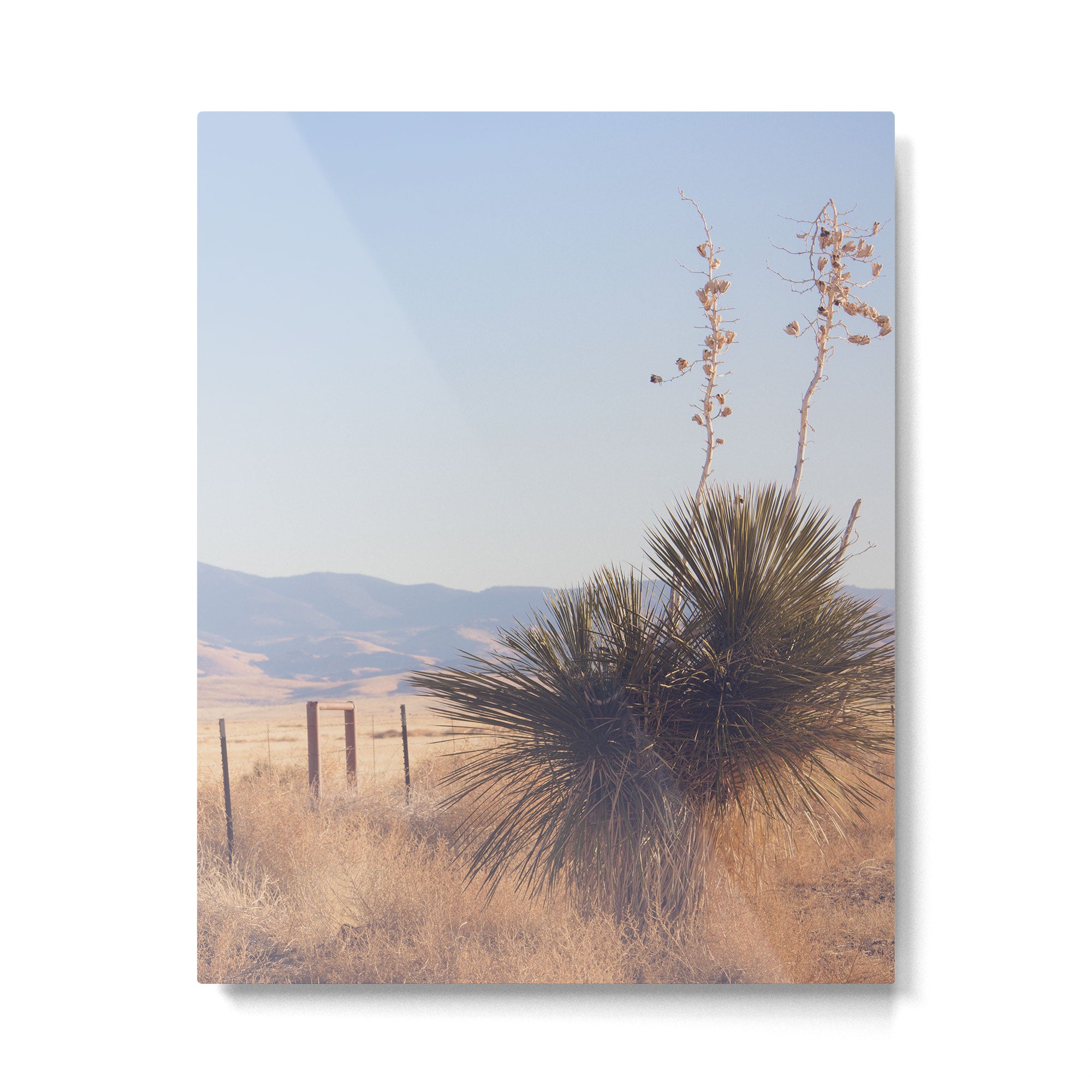 Marfa Morning Light Metal Print Gallery Image 4