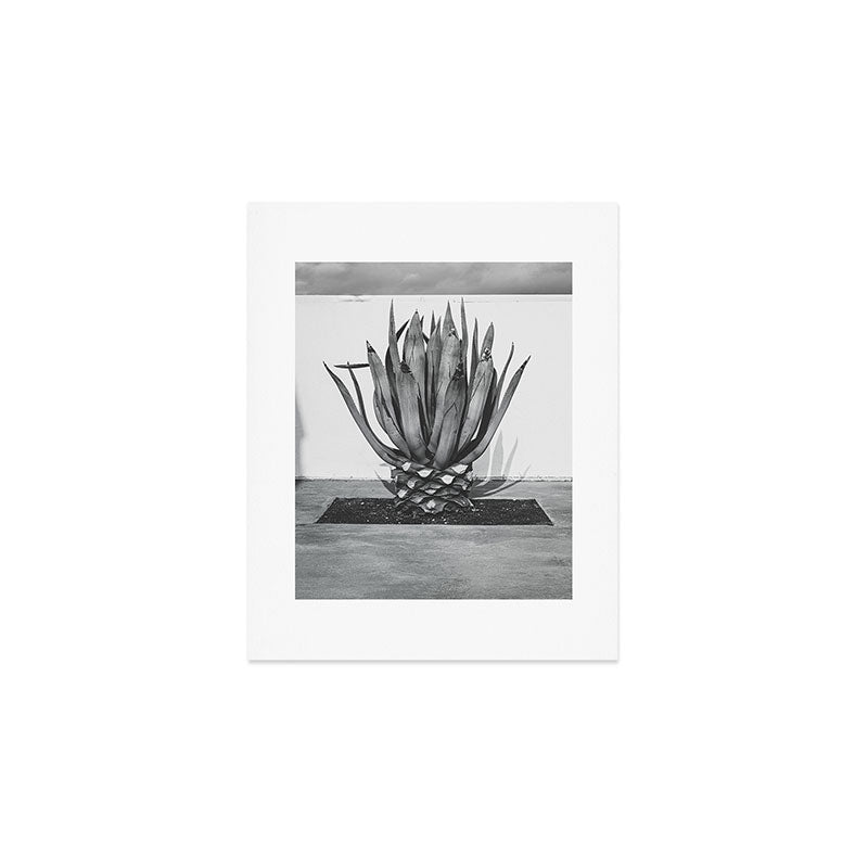 Marfa Texas Agave x West Texas Photography Art Print Gallery Image 1