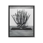 Marfa Texas Agave x West Texas Photography Framed Canvas Print Gallery Image 6