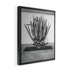 Marfa Texas Agave x West Texas Photography Framed Canvas Print Gallery Image 2
