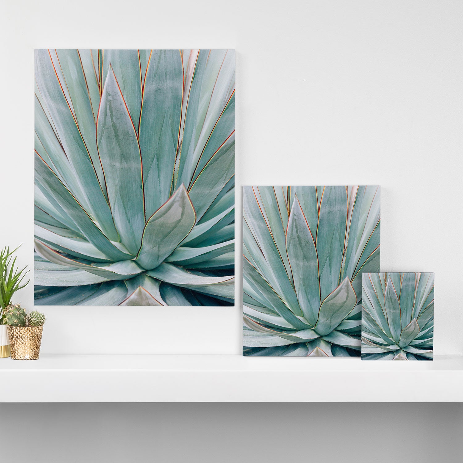 Minimalist Agave Canvas Print Gallery Image 3