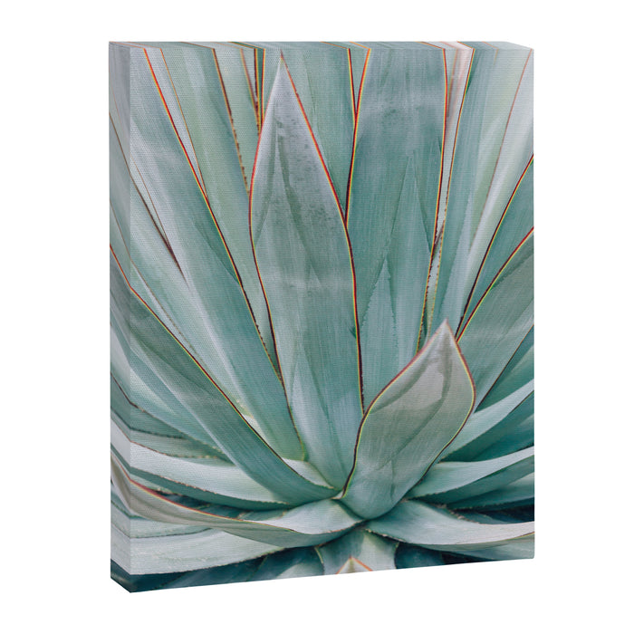 Minimalist Agave Canvas Print Gallery Image 1