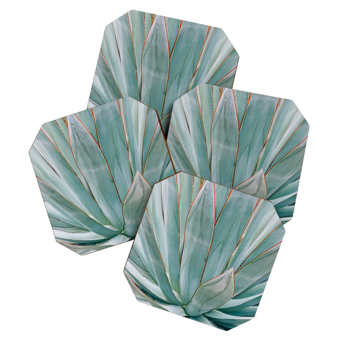 Minimalist Agave Coaster Gallery Image 1