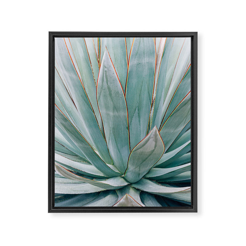 Minimalist Agave Framed Canvas Print Gallery Image 3