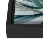 Minimalist Agave Framed Canvas Print Gallery Image 3