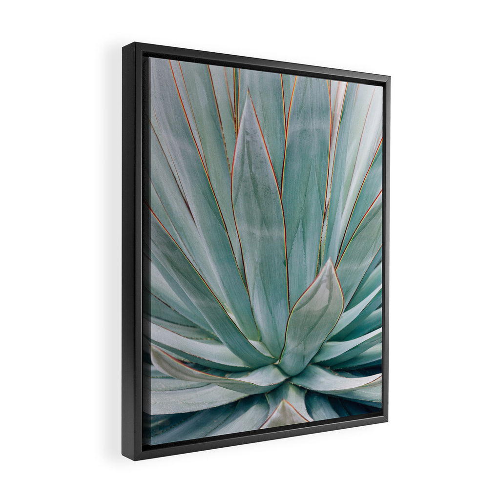 Minimalist Agave Framed Canvas Print Gallery Image 2