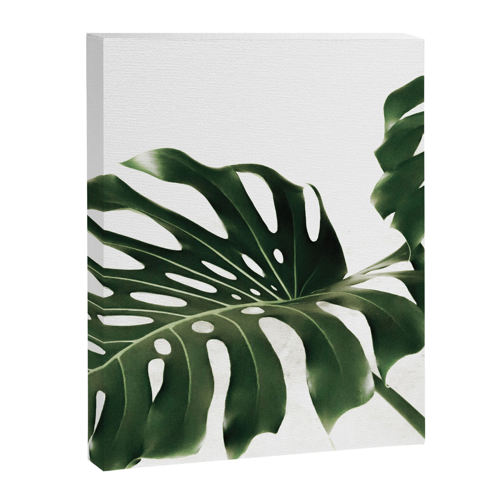 Minimalist Monstera Canvas Print Gallery Image 6