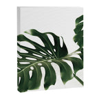 Minimalist Monstera Canvas Print Gallery Image 6