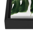 Minimalist Monstera Framed Canvas Print Gallery Image 3