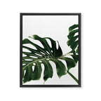 Minimalist Monstera Framed Canvas Print Gallery Image 6