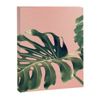 Monstera Blush Canvas Print Gallery Image 6