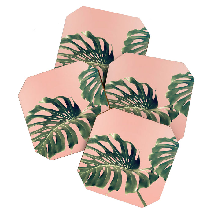 Monstera Blush Coaster Gallery Image 1