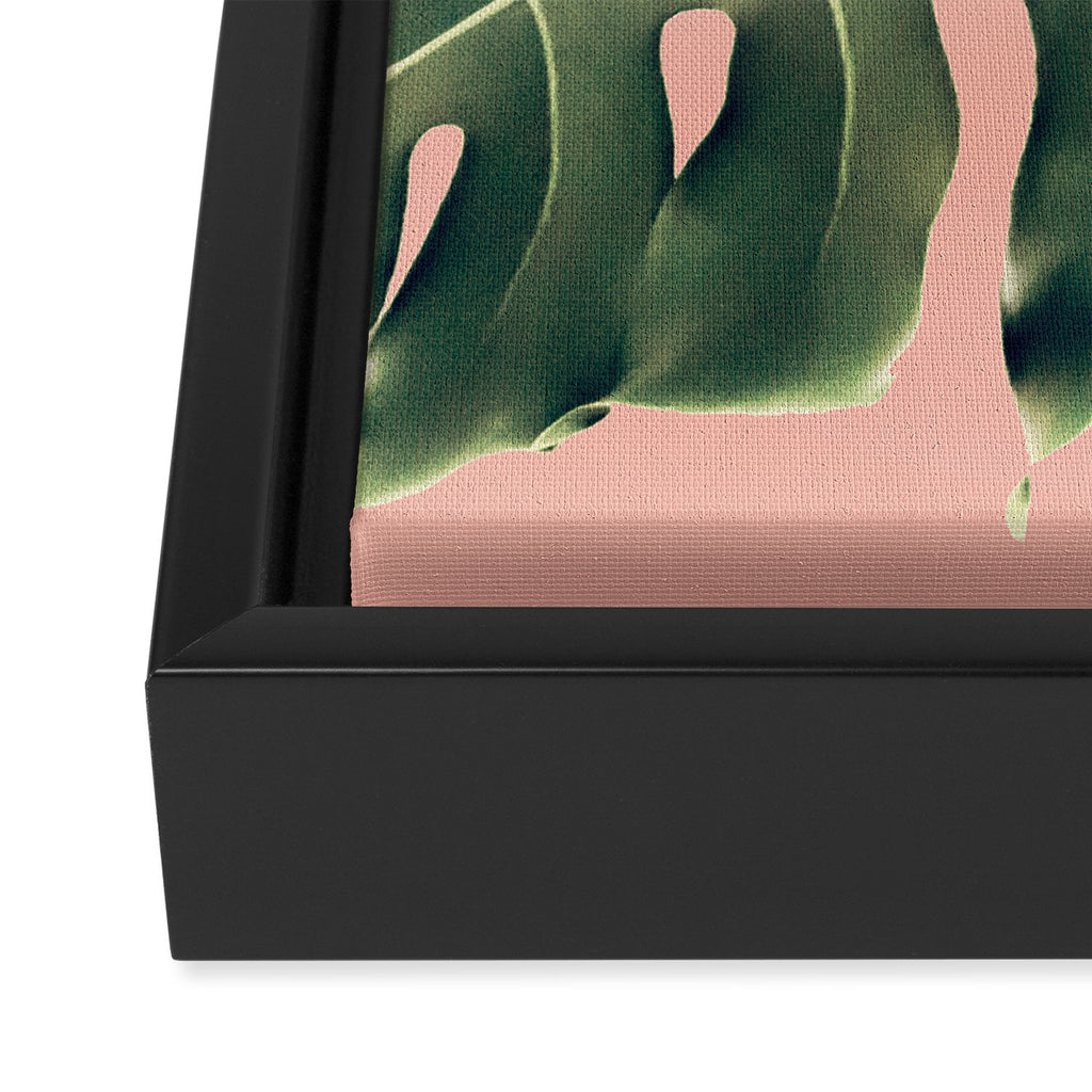 Monstera Blush Framed Canvas Print Gallery Image 3
