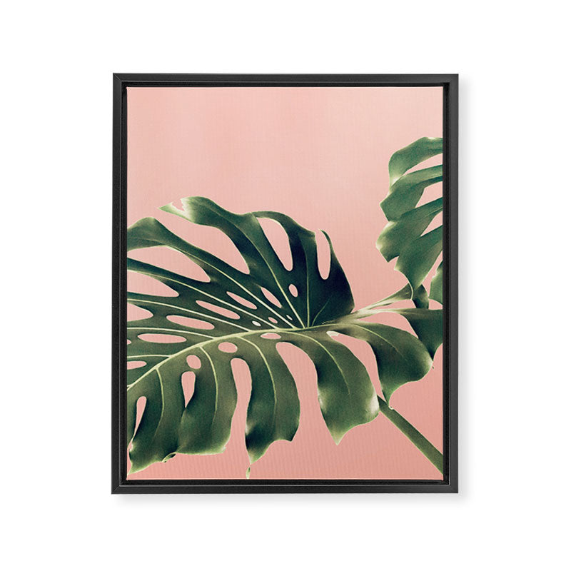 Monstera Blush Framed Canvas Print Gallery Image 6