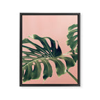 Monstera Blush Framed Canvas Print Gallery Image 6