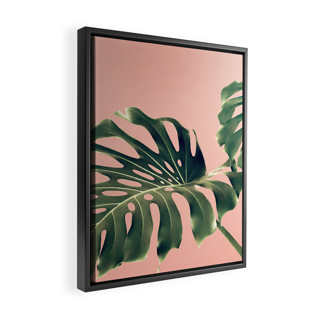 Monstera Blush Framed Canvas Print Gallery Image 2