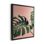 Monstera Blush Framed Canvas Print Gallery Image 2