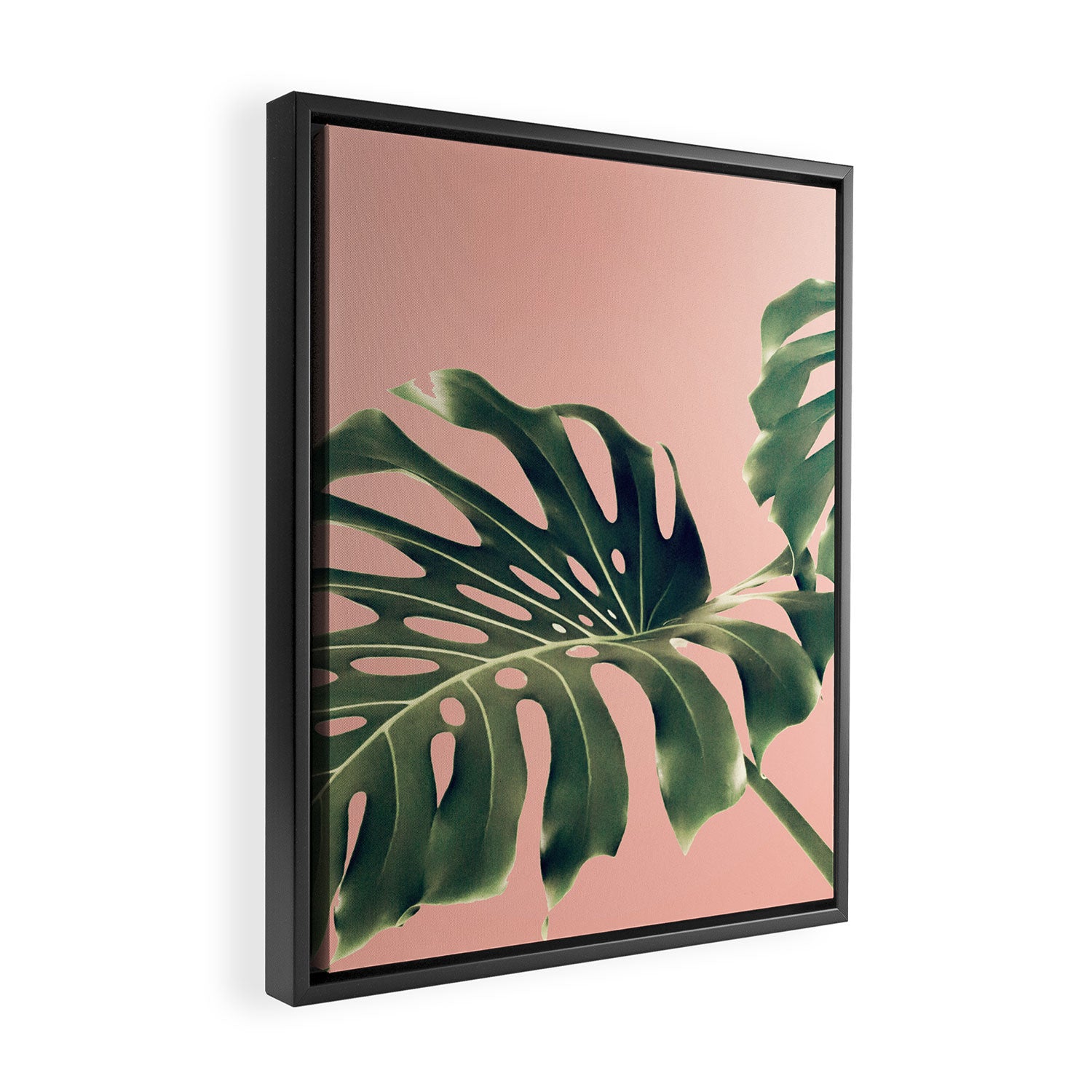 Monstera Blush Framed Canvas Print Gallery Image 2