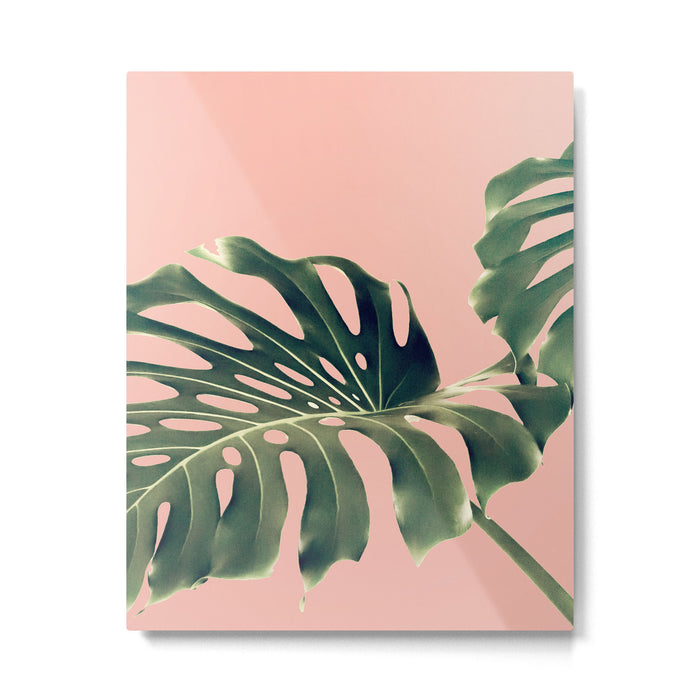 Monstera Blush Metal Print Gallery Image 1