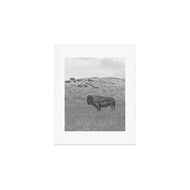 Montana Buffalo Bison | Black and White Montana Photography Art Print Gallery Image 1