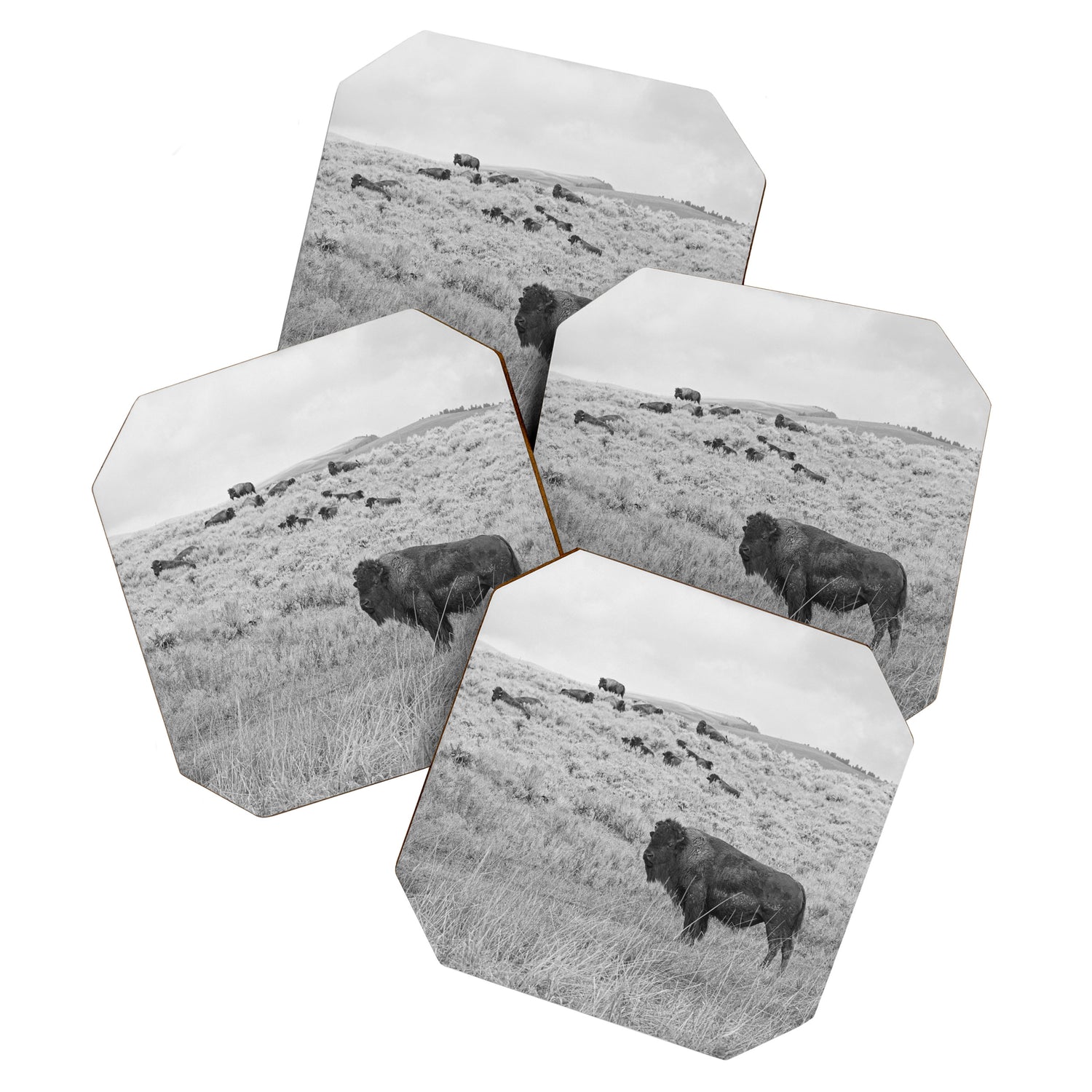 Montana Buffalo Bison | Black and White Montana Photography Coaster Gallery Image 1