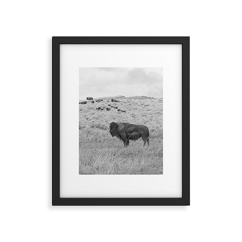 Montana Buffalo Bison | Black and White Montana Photography Framed Art Print Gallery Image 4