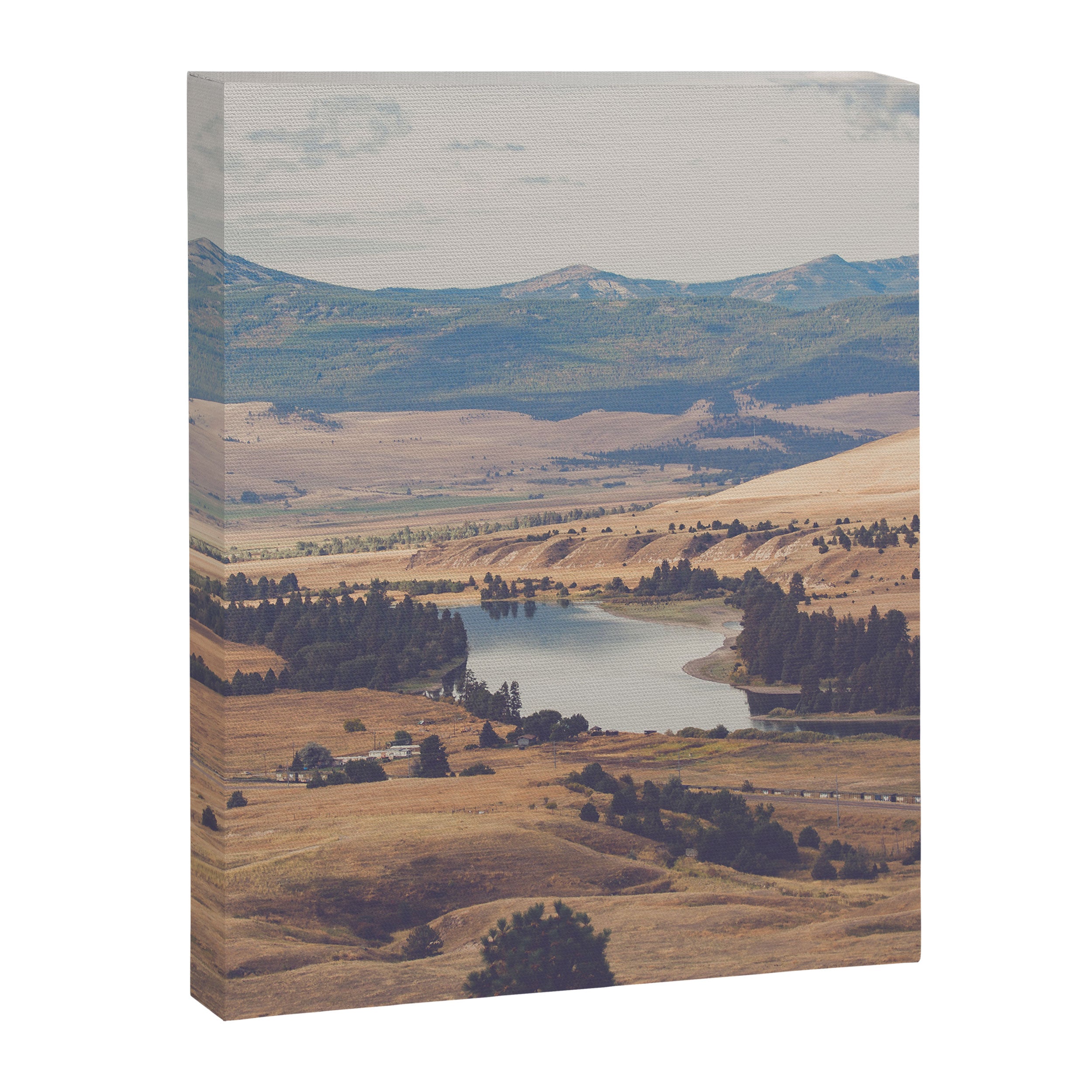 Montana Gold II Canvas Print Gallery Image 6