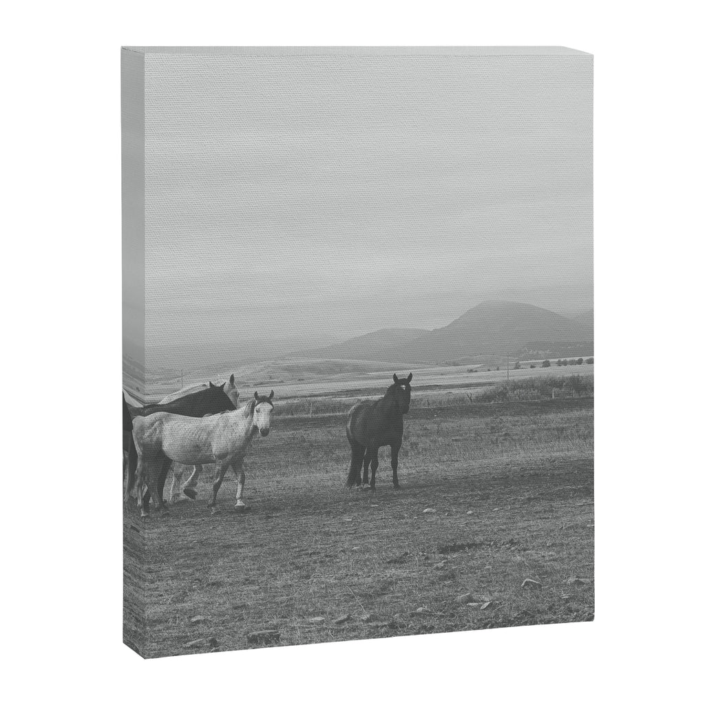 Montana Wild Horses Photography Canvas Print Gallery Image 6