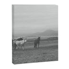 Montana Wild Horses Photography Canvas Print Gallery Image 6