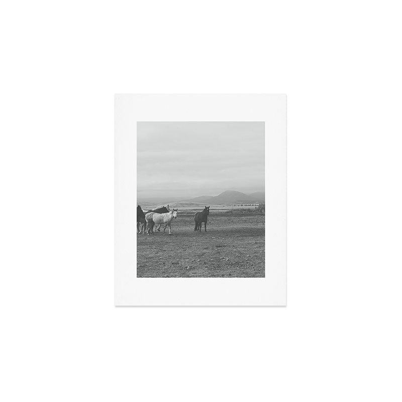 Montana Wild Horses Photography Art Print Gallery Image 1