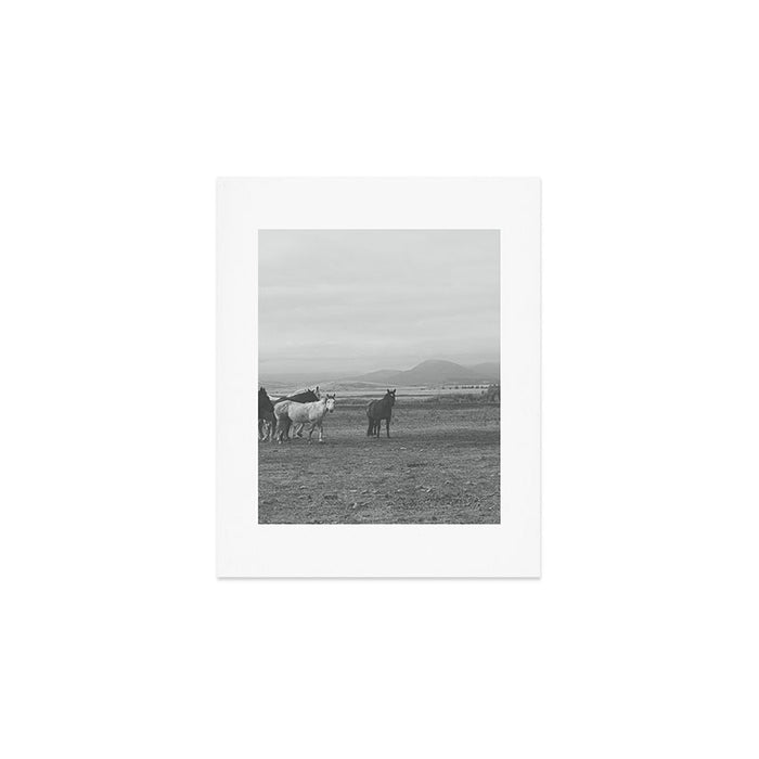 Montana Wild Horses Photography Art Print Gallery Image 1