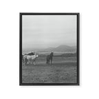 Montana Wild Horses Photography Framed Canvas Print Gallery Image 6