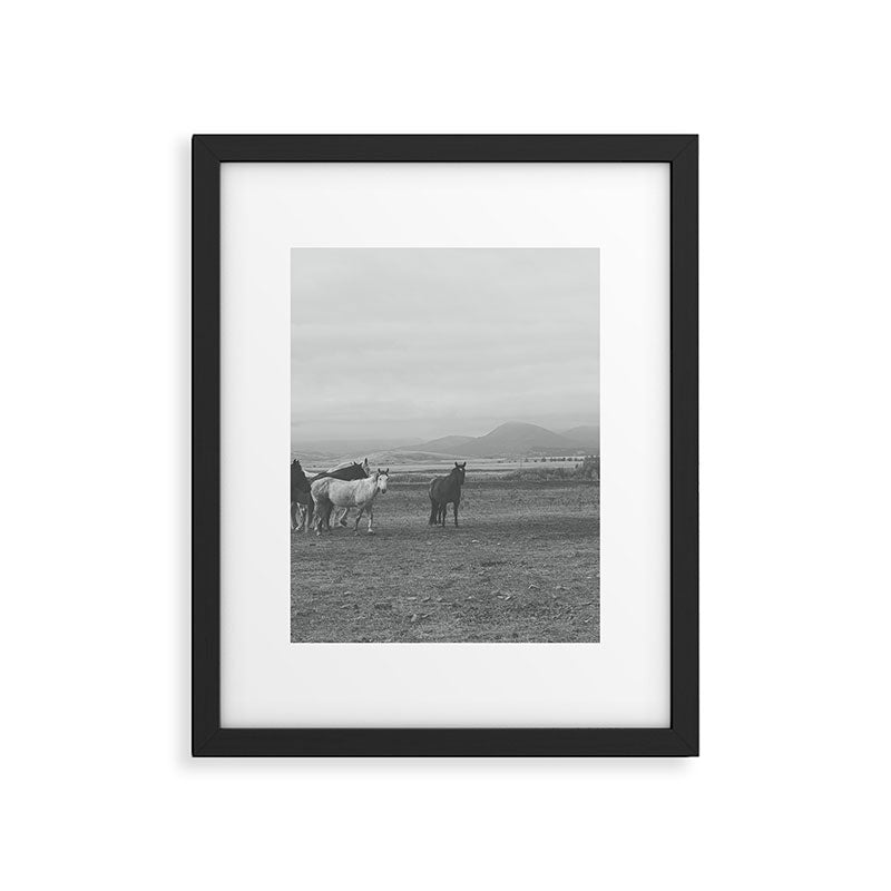 Montana Wild Horses Photography Framed Art Print Gallery Image 5