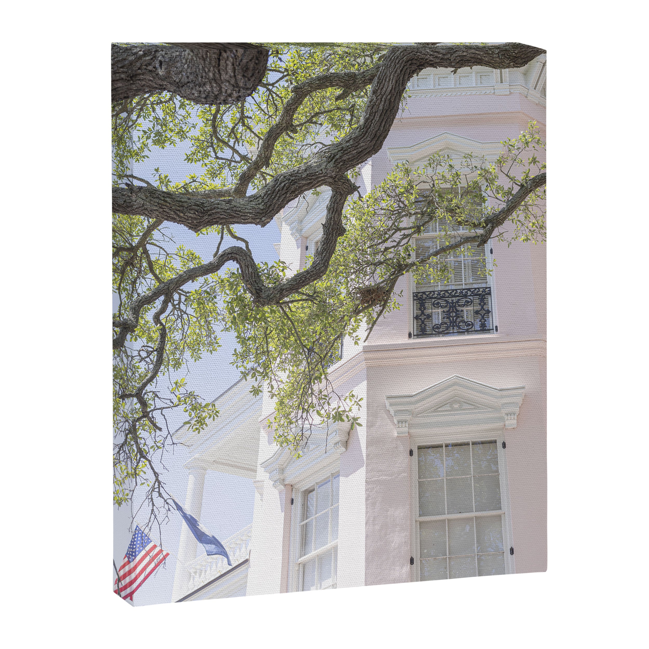 Morning in Charleston x Historic Charleston South Carolina Photography Canvas Print Gallery Image 6