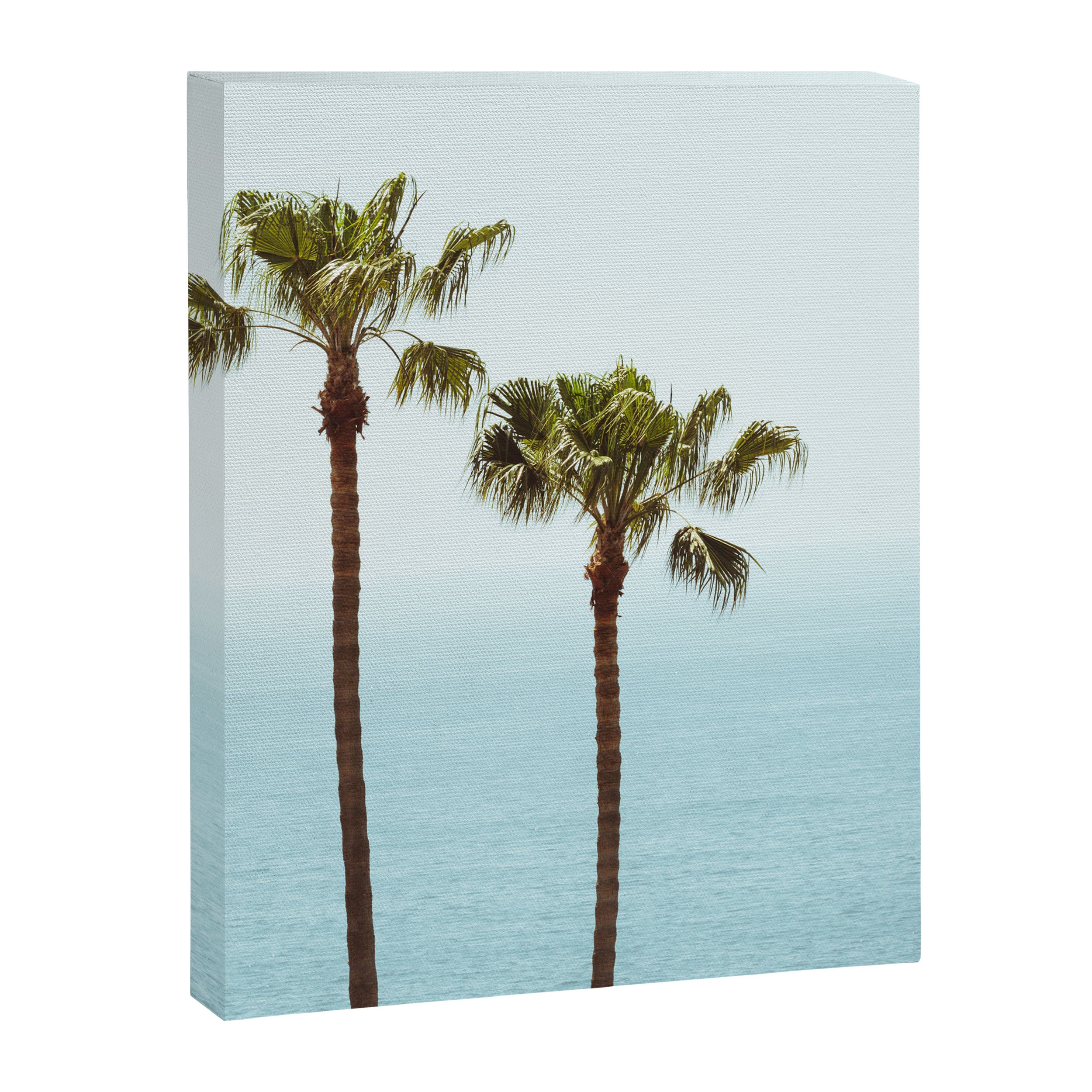 Morning in Laguna Beach Canvas Print Gallery Image 6