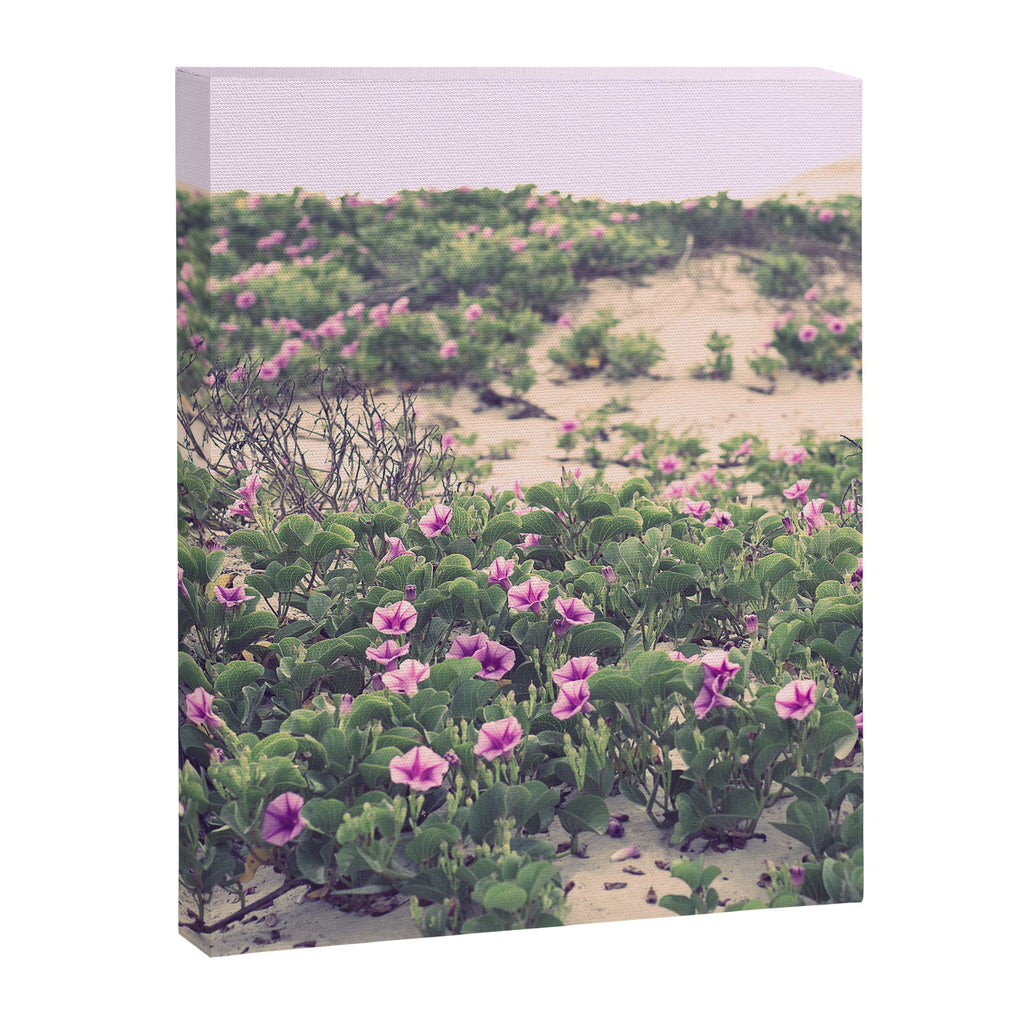 Mornings at the Beach Canvas Print Gallery Image 6