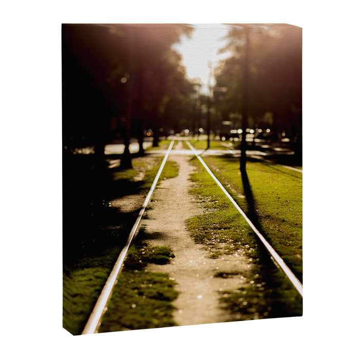 Neutral Ground Canvas Print Gallery Image 1