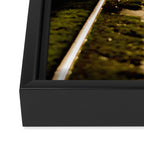 Neutral Ground Framed Canvas Print Gallery Image 3