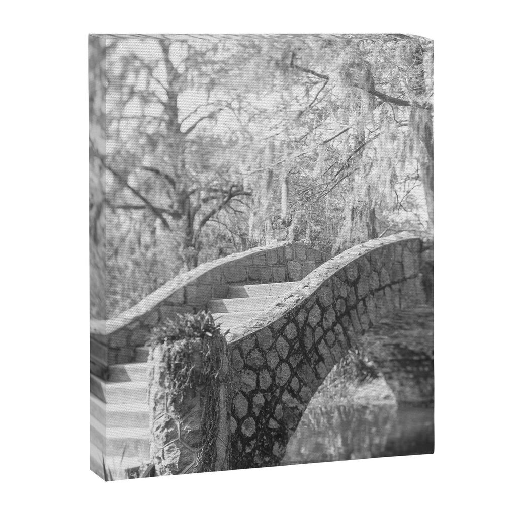 New Orleans City Park black and white photography Canvas Print Gallery Image 6