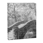 New Orleans City Park black and white photography Canvas Print Gallery Image 6