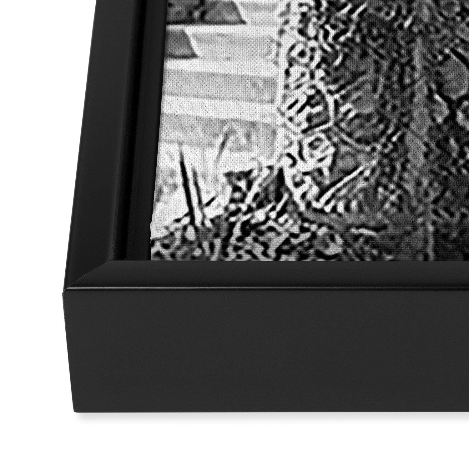 New Orleans City Park black and white photography Framed Canvas Print Gallery Image 3
