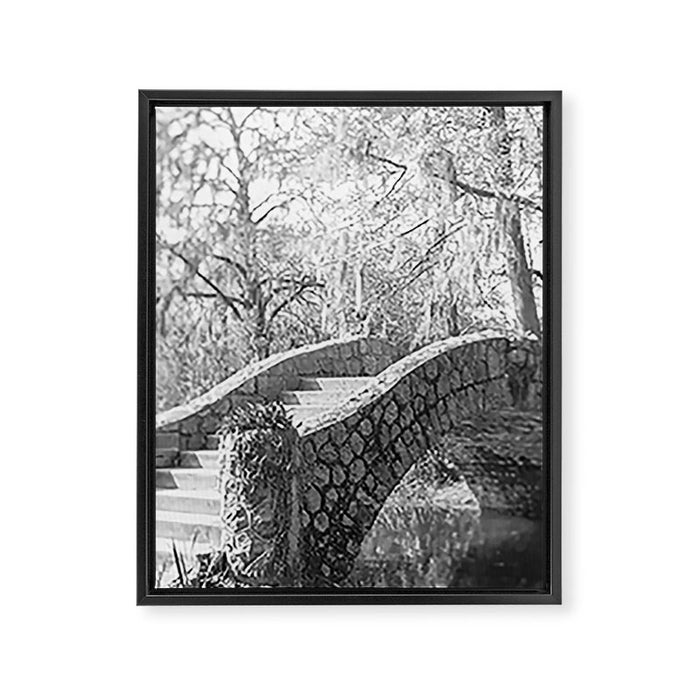 New Orleans City Park black and white photography Framed Canvas Print Gallery Image 1