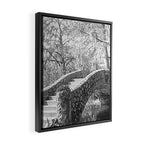 New Orleans City Park black and white photography Framed Canvas Print Gallery Image 2
