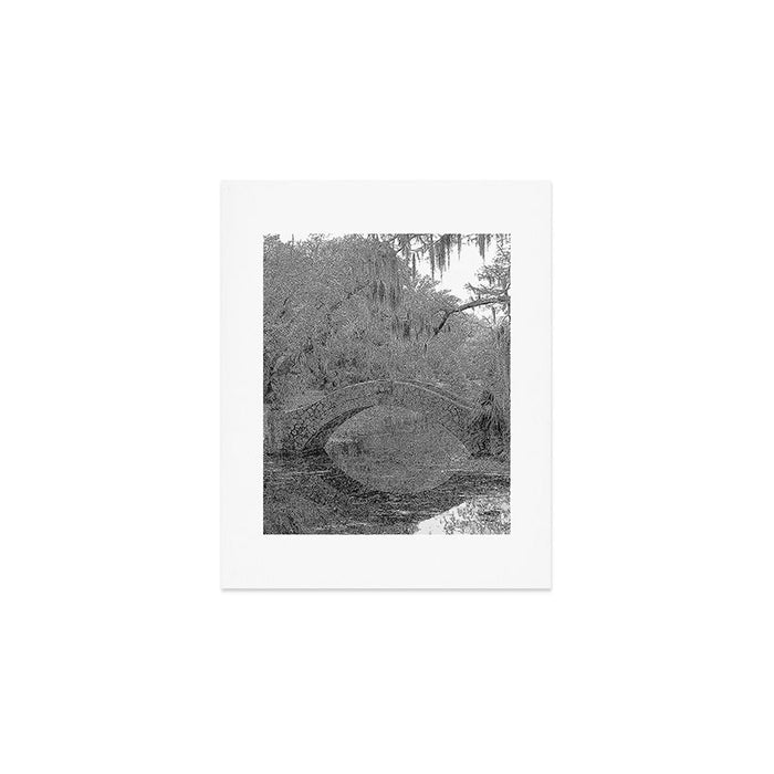New Orleans City Park Photography Art Print Gallery Image 1