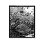 New Orleans City Park Photography Framed Canvas Print Gallery Image 6