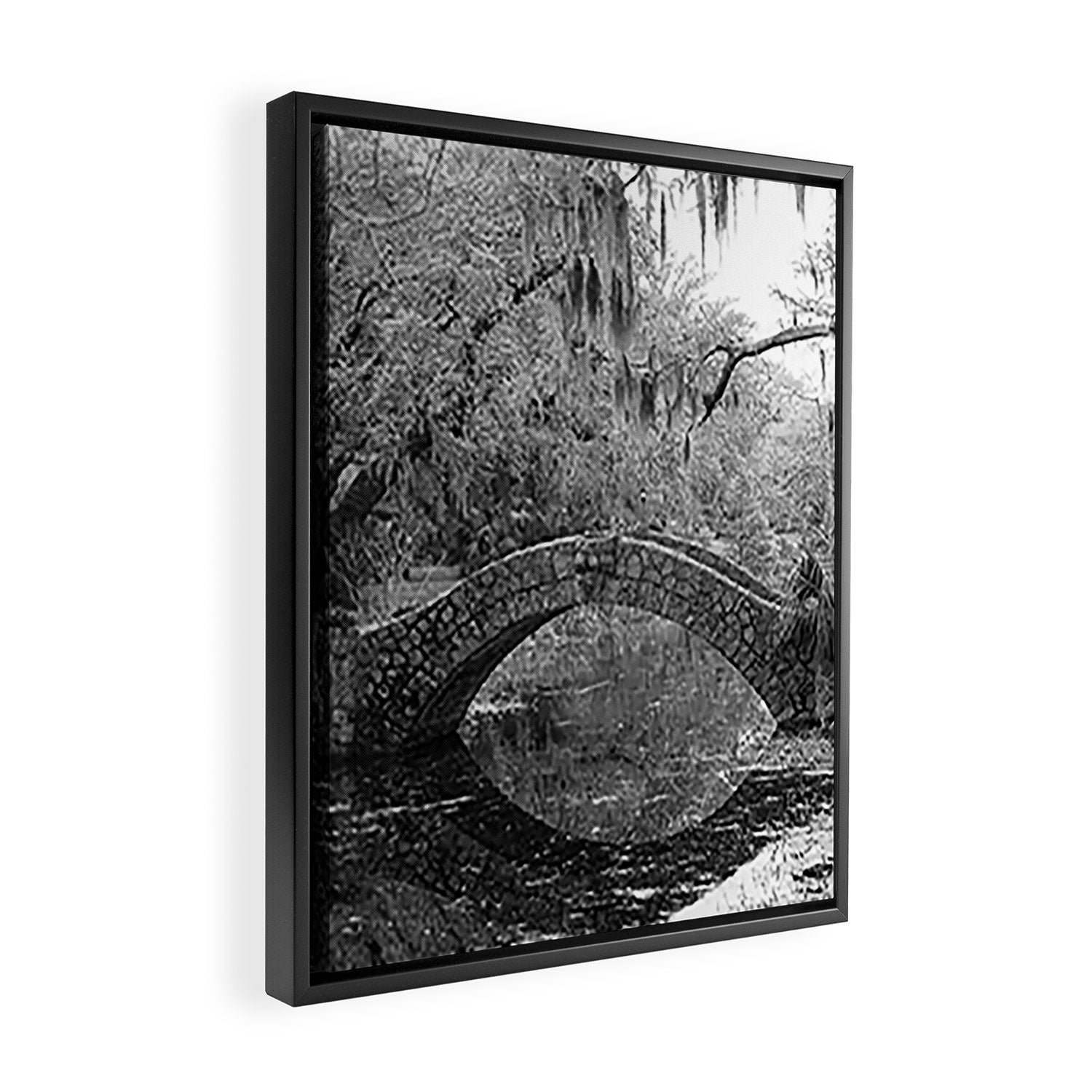 New Orleans City Park Photography Framed Canvas Print Gallery Image 2